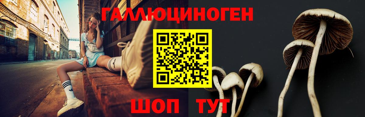 Псилоцибиновые грибы Magic Shrooms  Вход с VPN  Галлюциногенные грибы Psilocybe  Орёл 